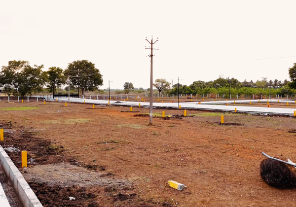 New Town Layout View